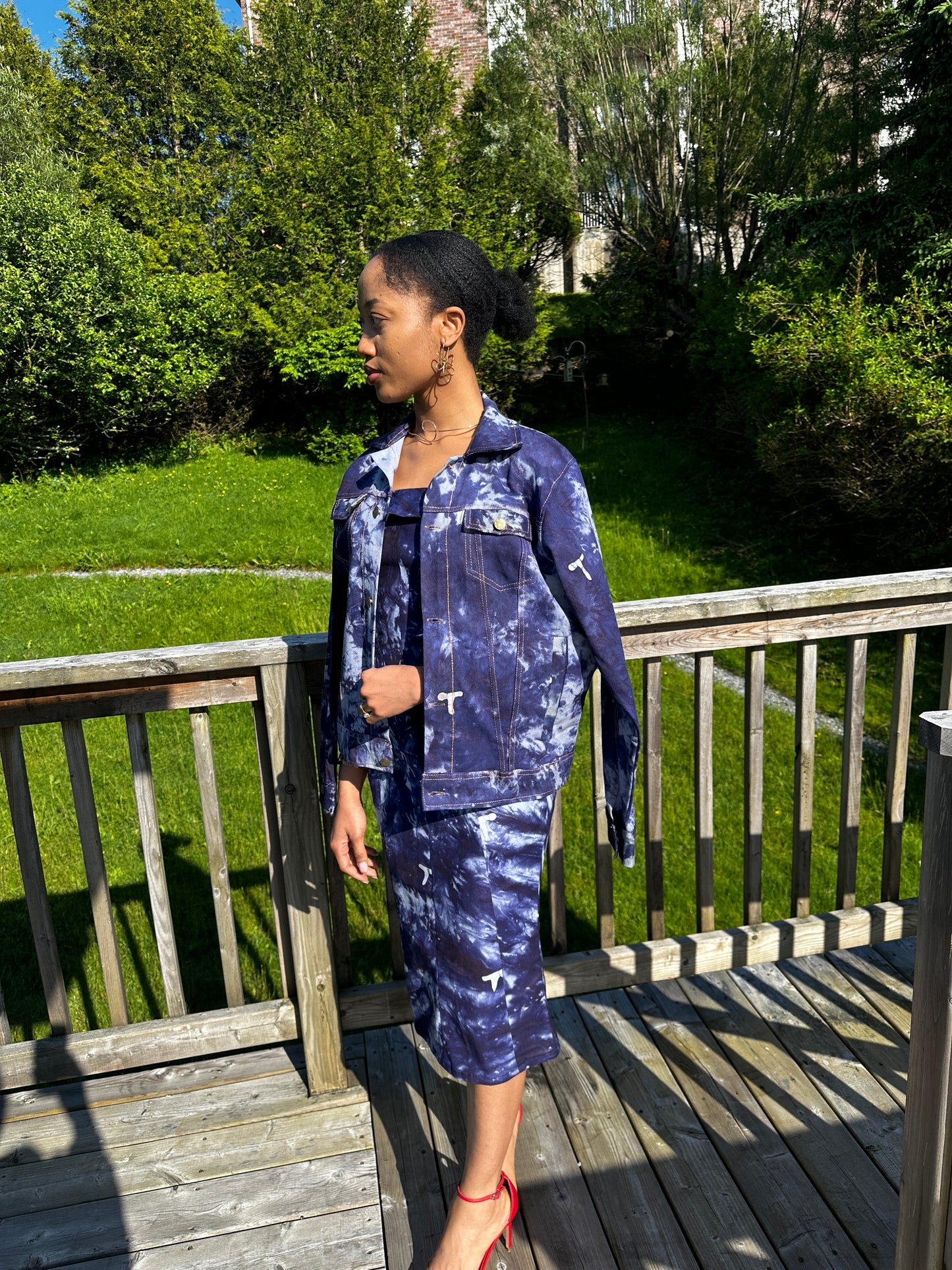 Tani Denim Dress